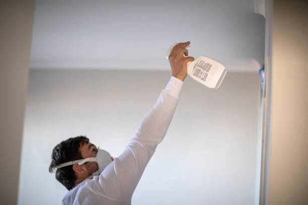 Best Office Mold Removal Services  in Blackshear, GA