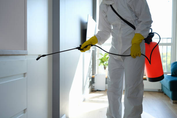 Best Toxic Mold Removal  in Blackshear, GA