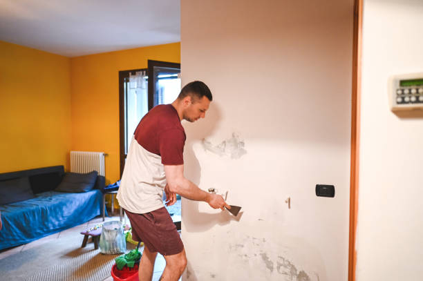 Blackshear, GA Mold Removal Company