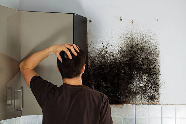 Best Crawl Space Mold Removal  in Blackshear, GA